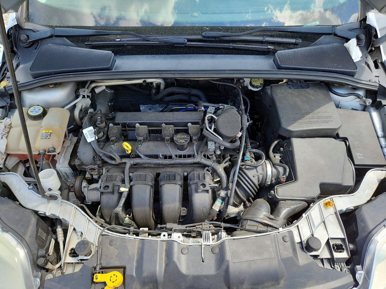 Ford Focus Sel