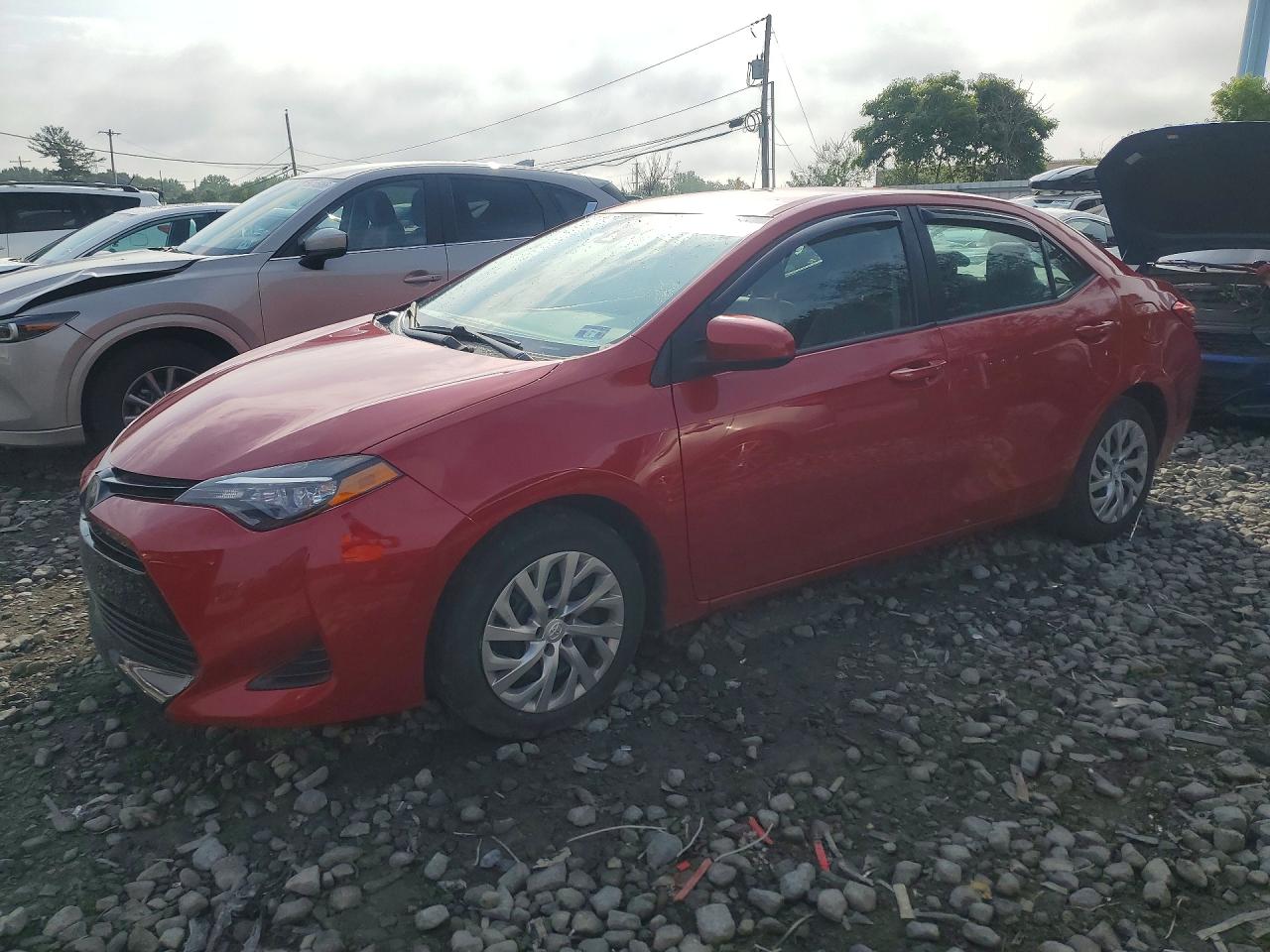 Salvage Toyota Corolla Image