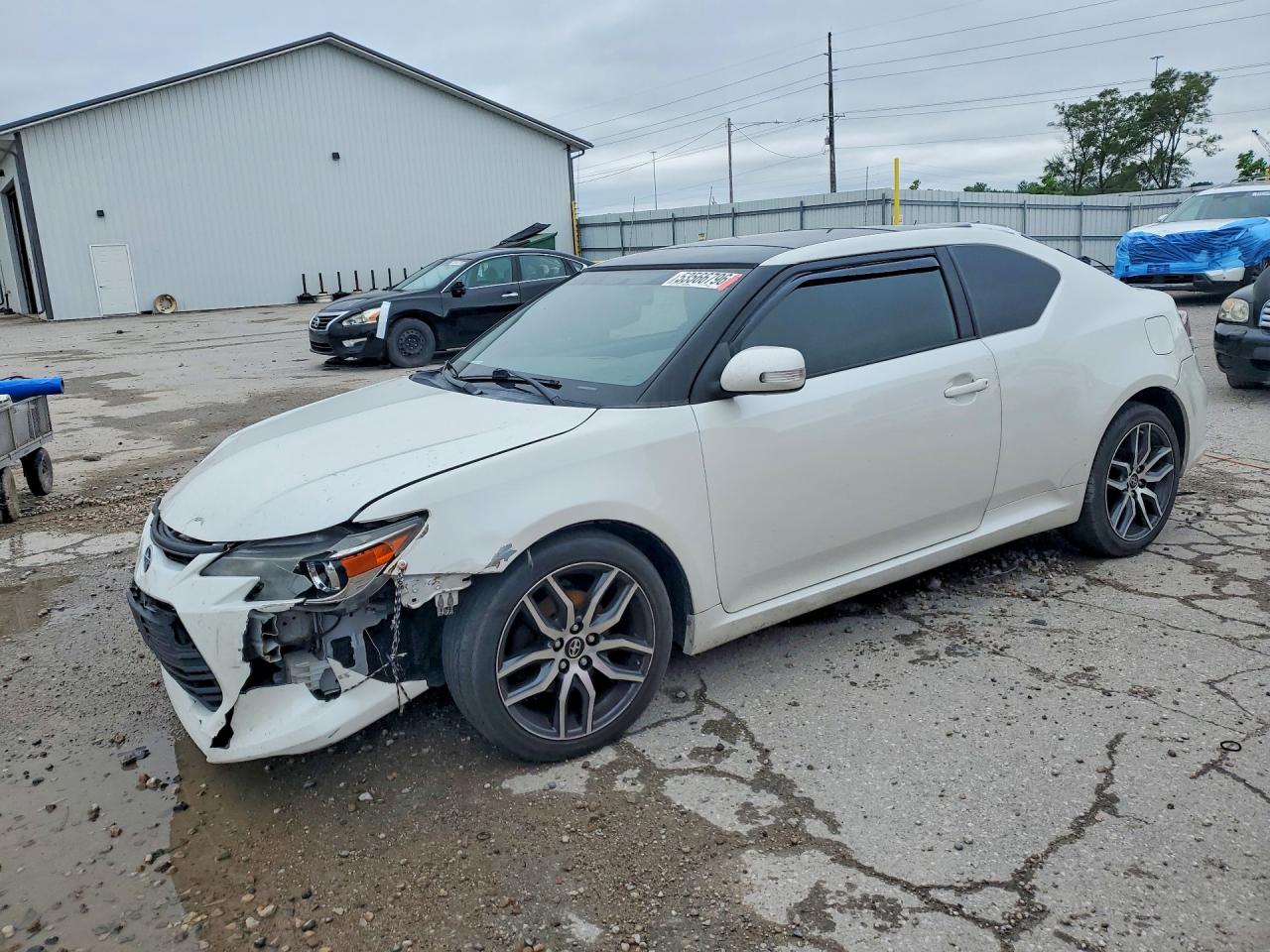 Salvage Scion TC Image
