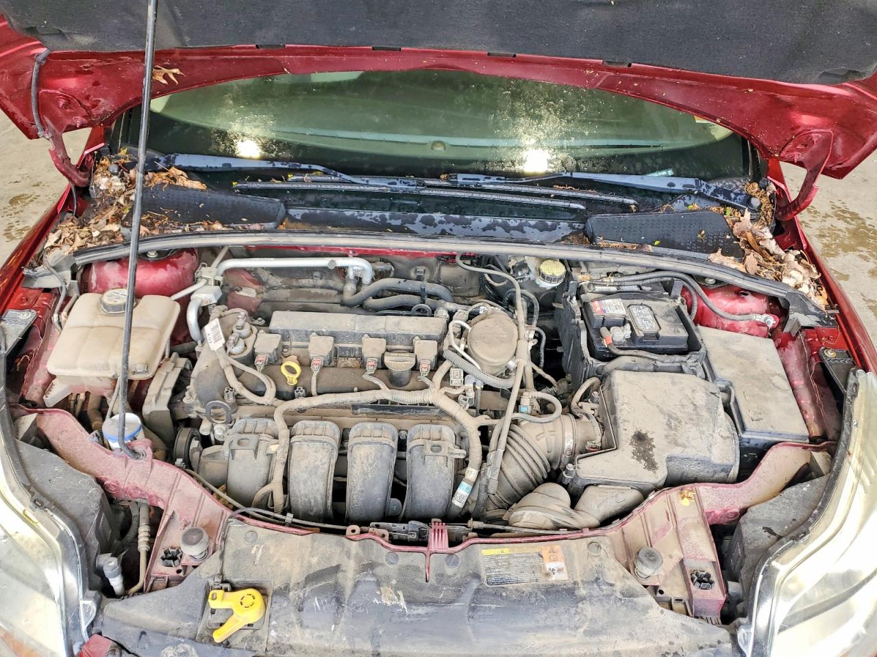 Ford Focus Se