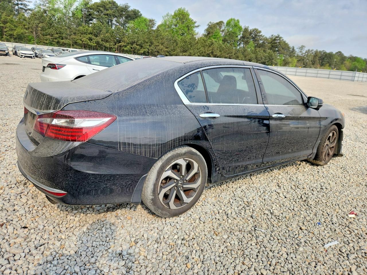 Honda Accord Ex