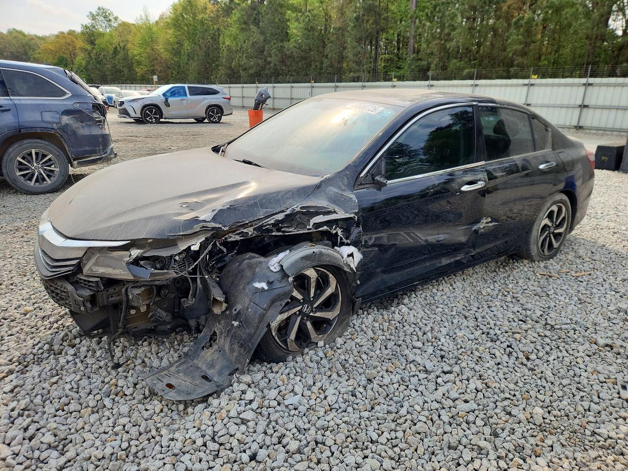 Salvage Honda Accord Image