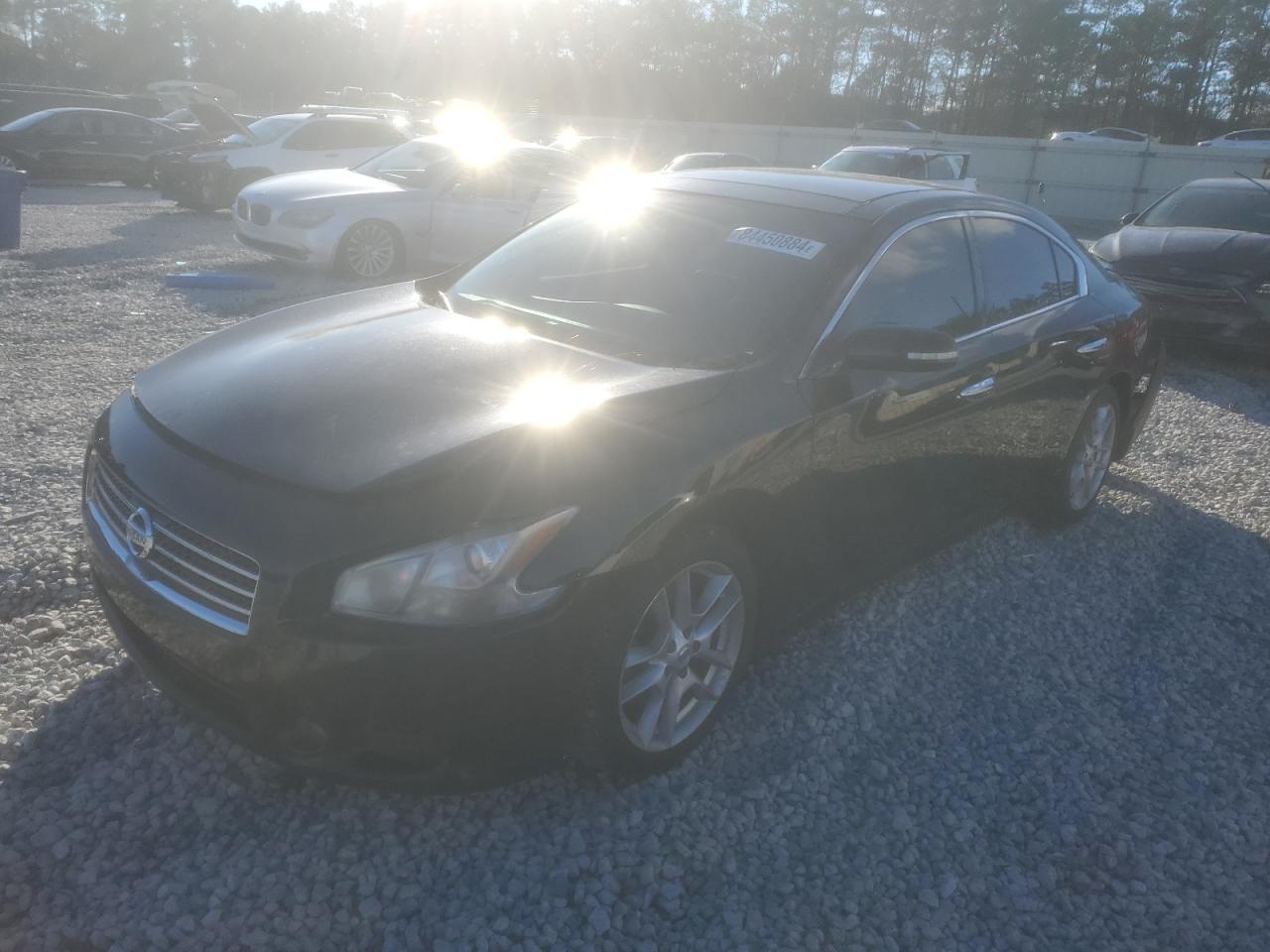 Salvage Nissan Maxima Image