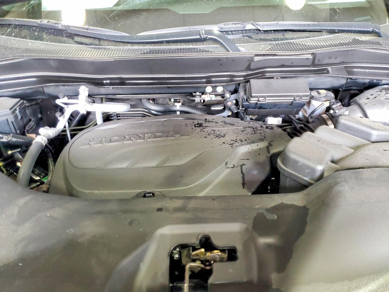 Honda Passport Trail Sport