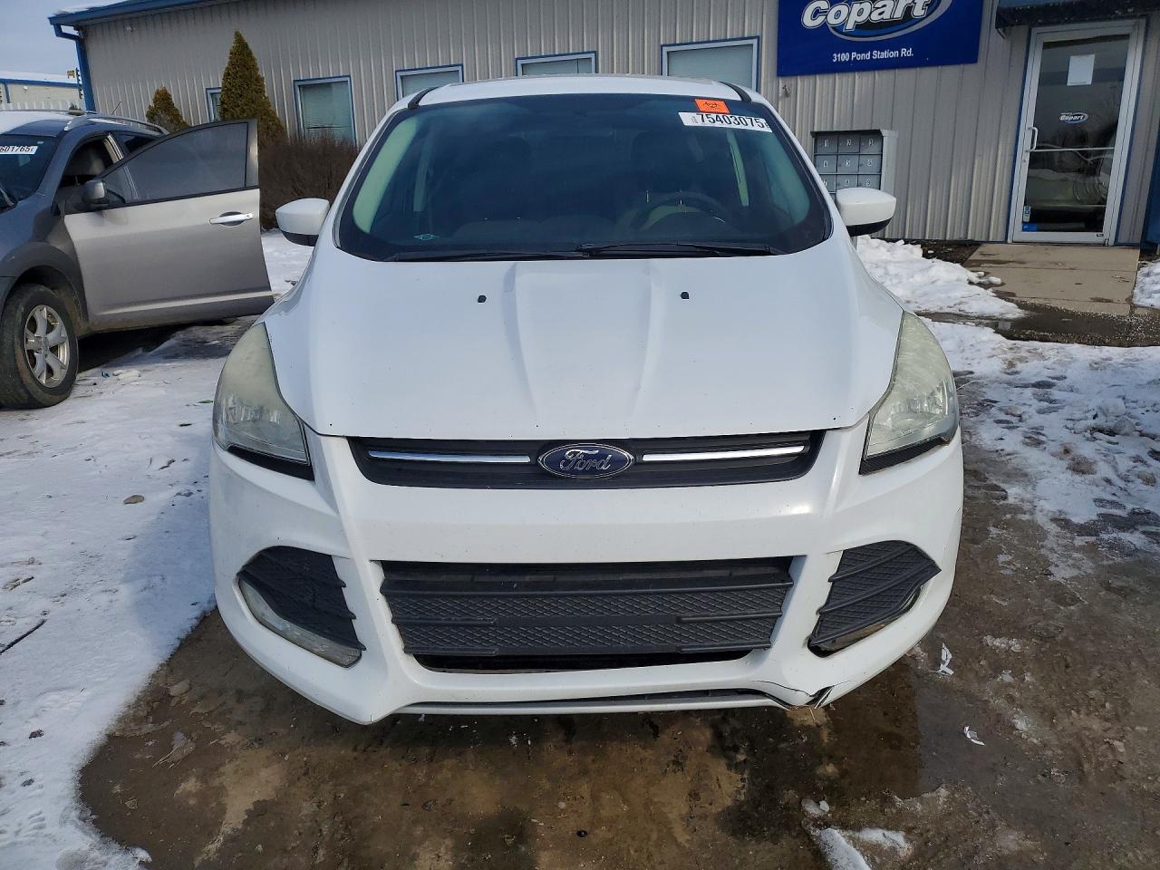Ford Escape Se