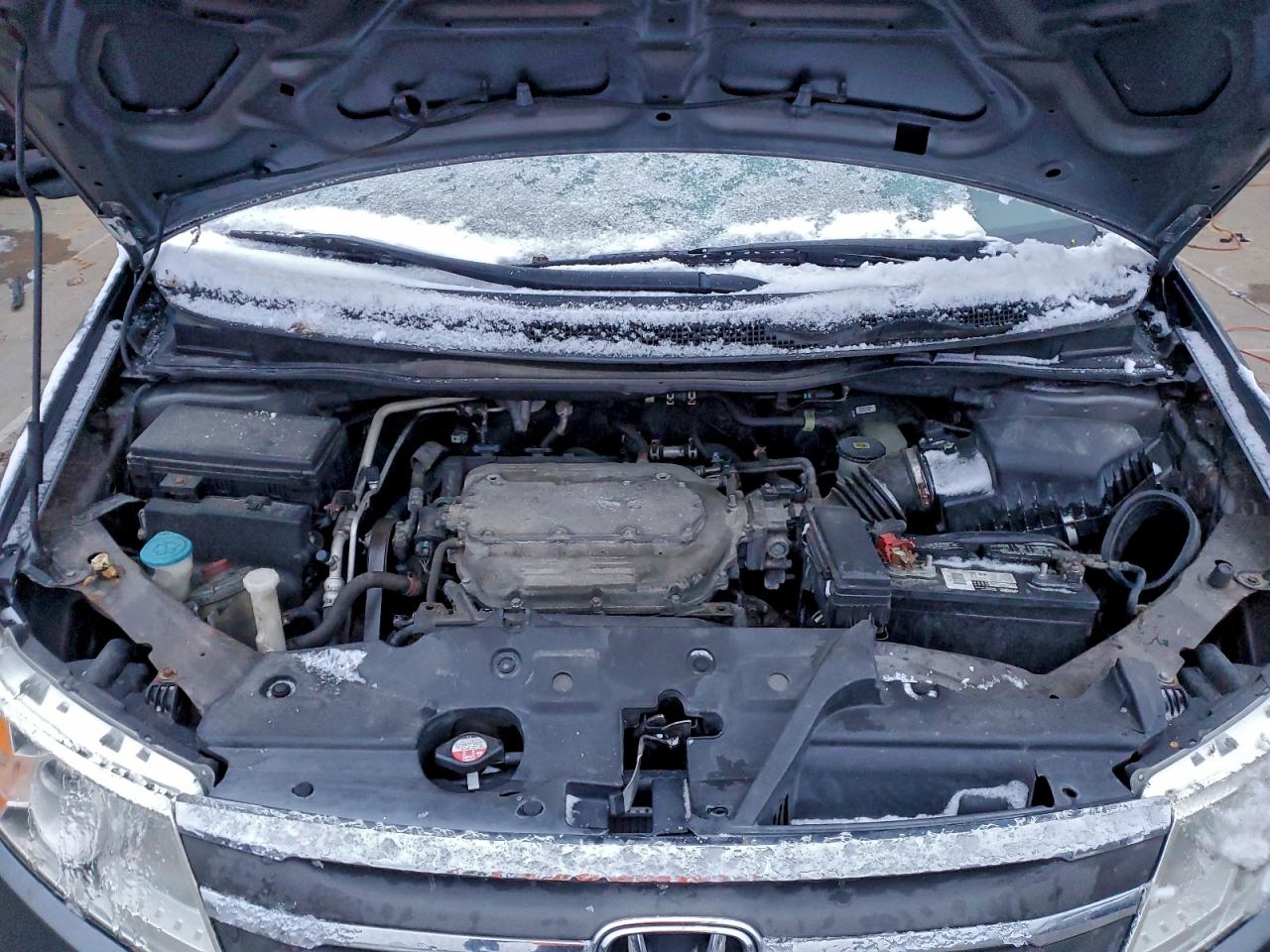 Honda Odyssey Exl