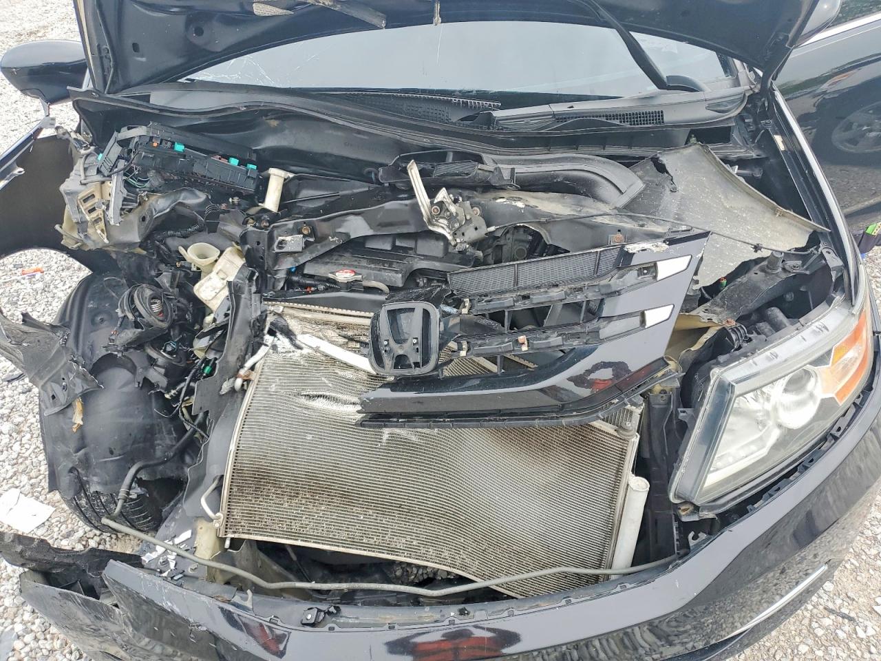 Honda Odyssey Ex