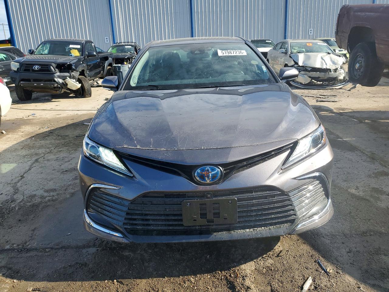 Toyota Camry Xle