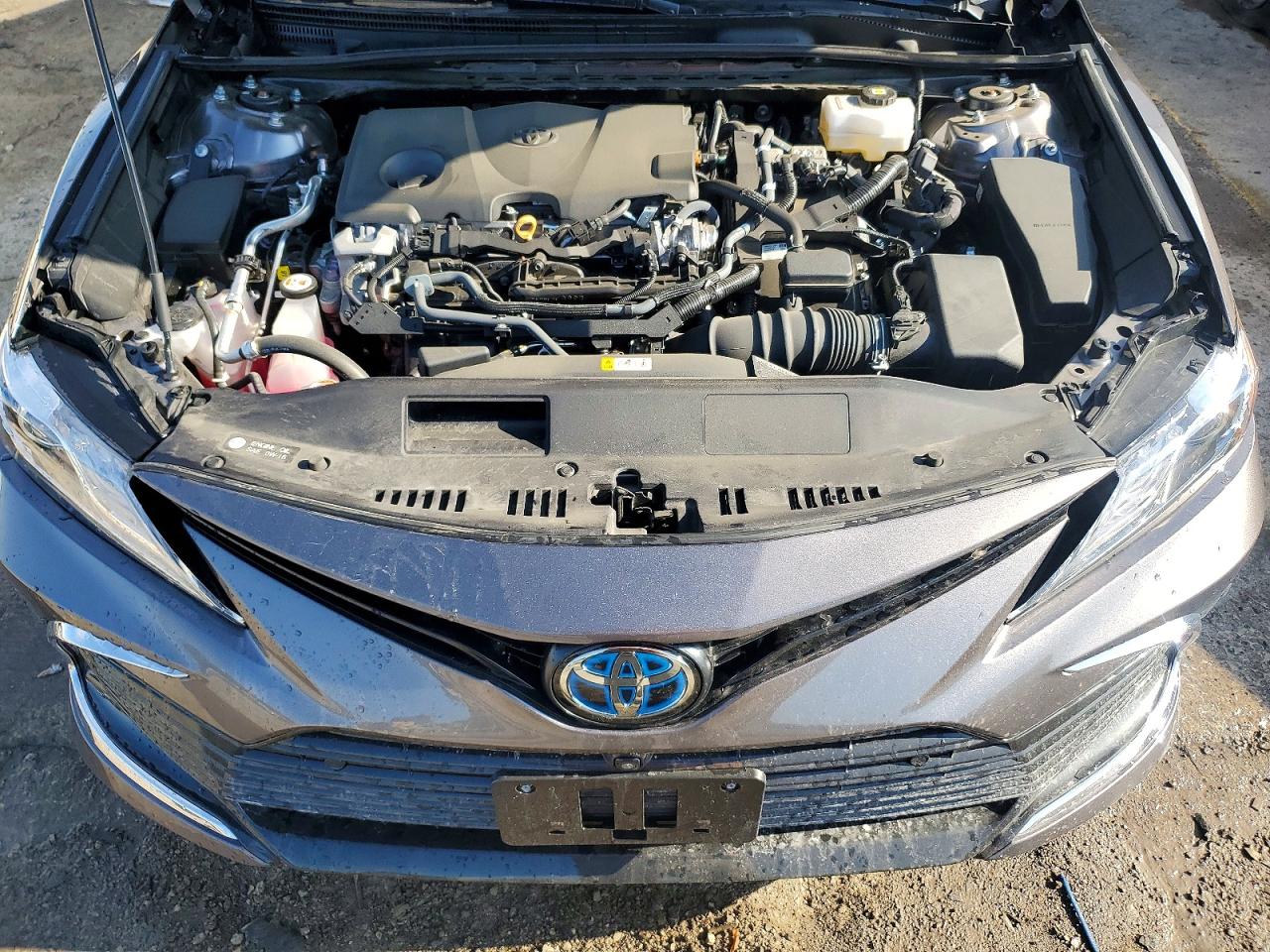 Toyota Camry Xle