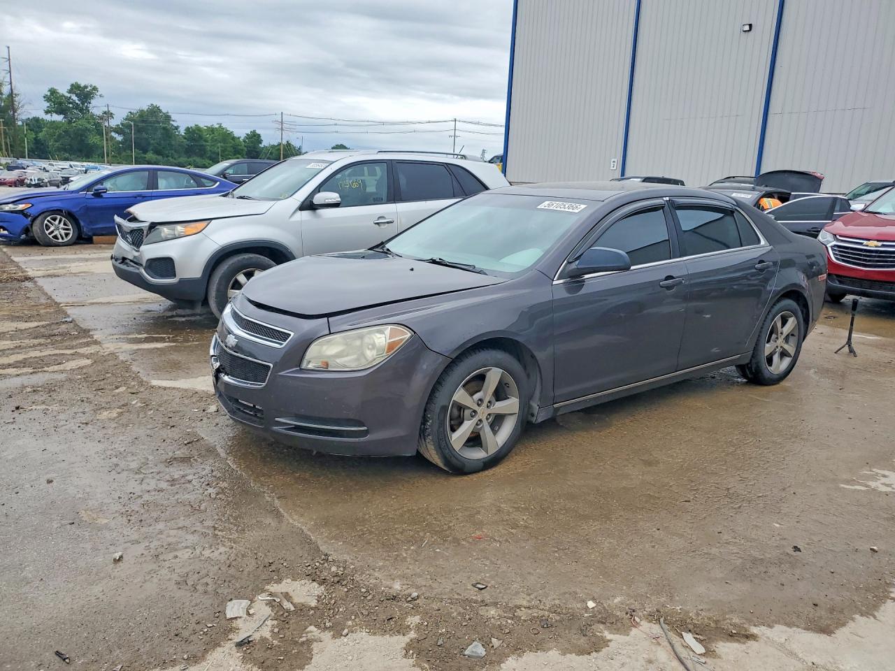 Salvage Chevrolet Malibu Image