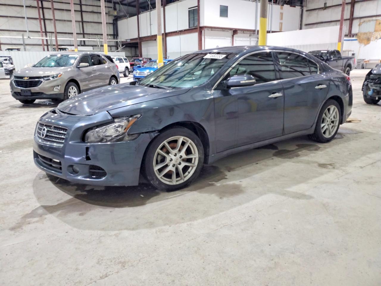 Salvage Nissan Maxima Image