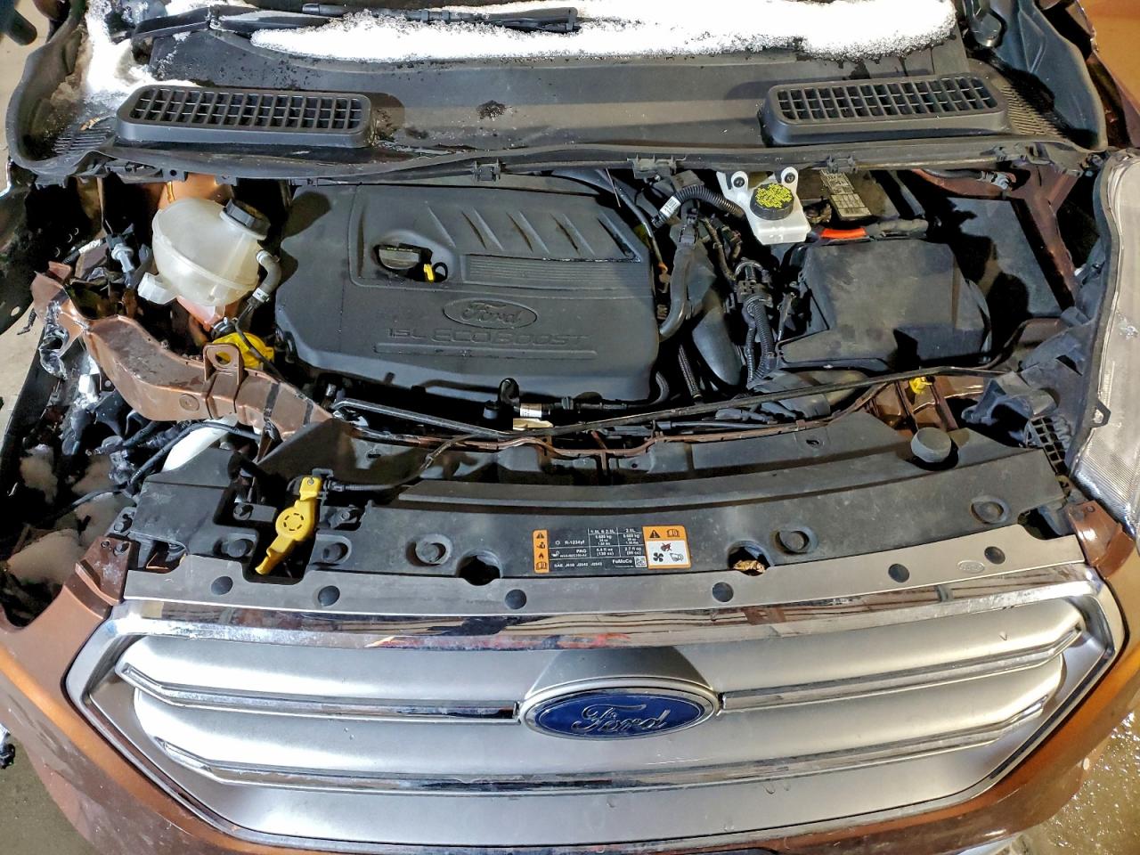 Ford Escape Se
