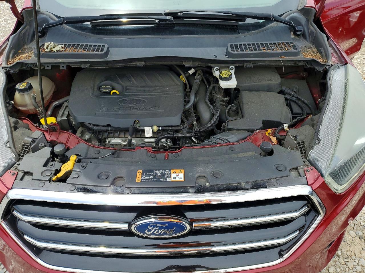 Ford Escape Se