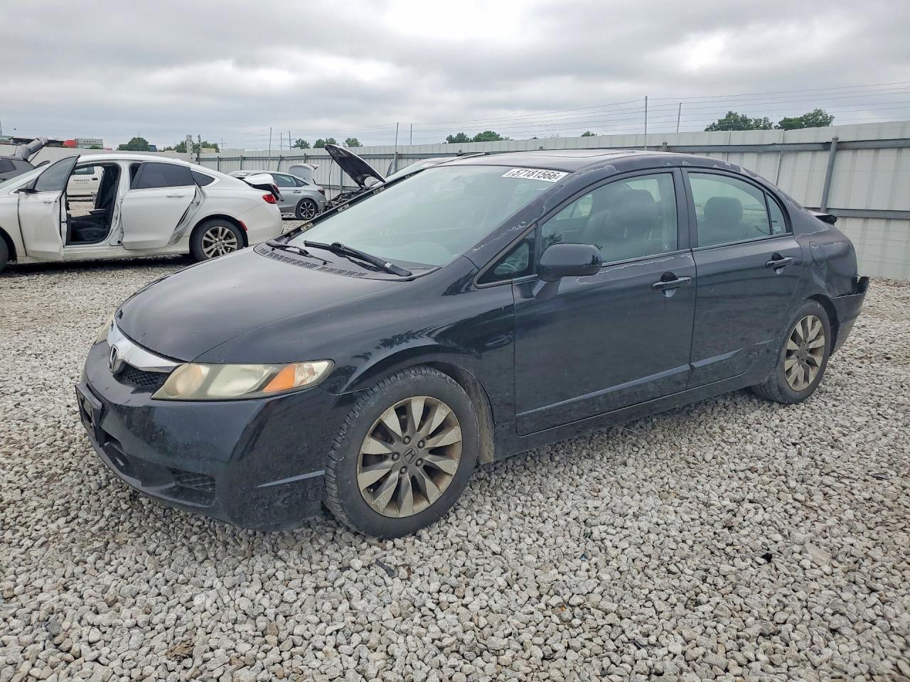 Salvage Honda Civic Image