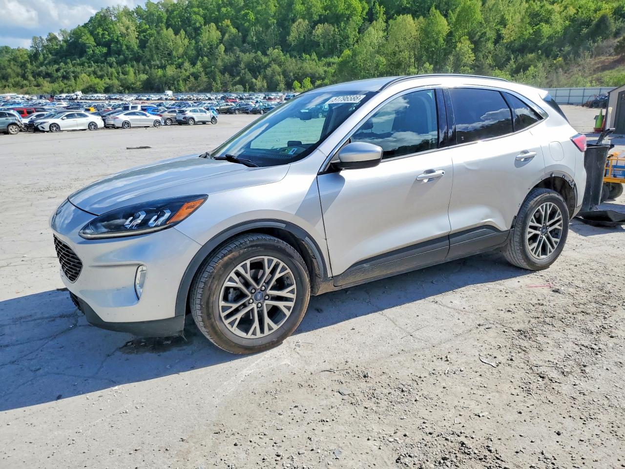 Salvage Ford Escape Image