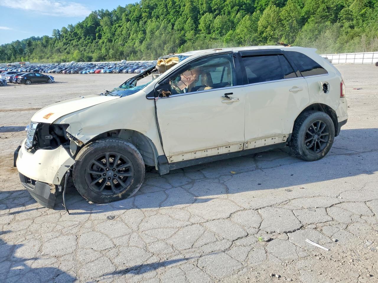 Salvage Ford Edge Image