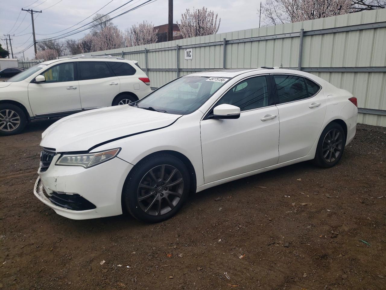 Salvage Acura TLX Image
