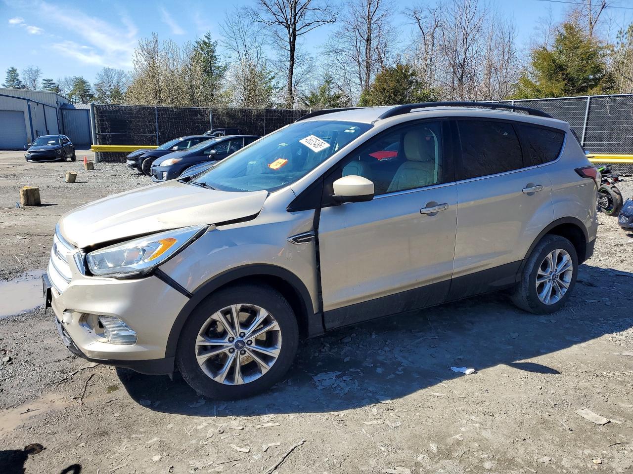 Salvage Ford Escape Image