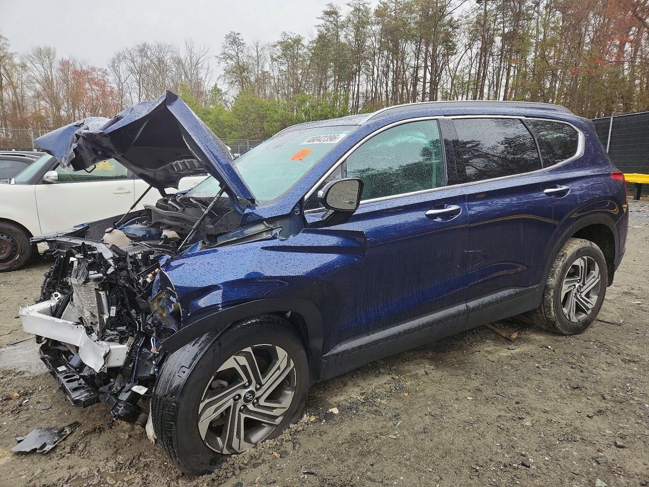 Salvage Hyundai SANTA FE Image