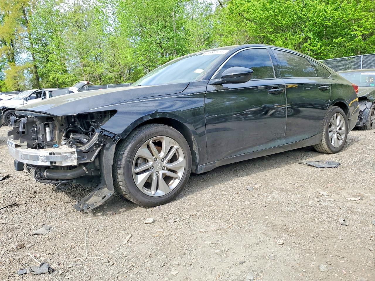 Salvage Honda Accord Image