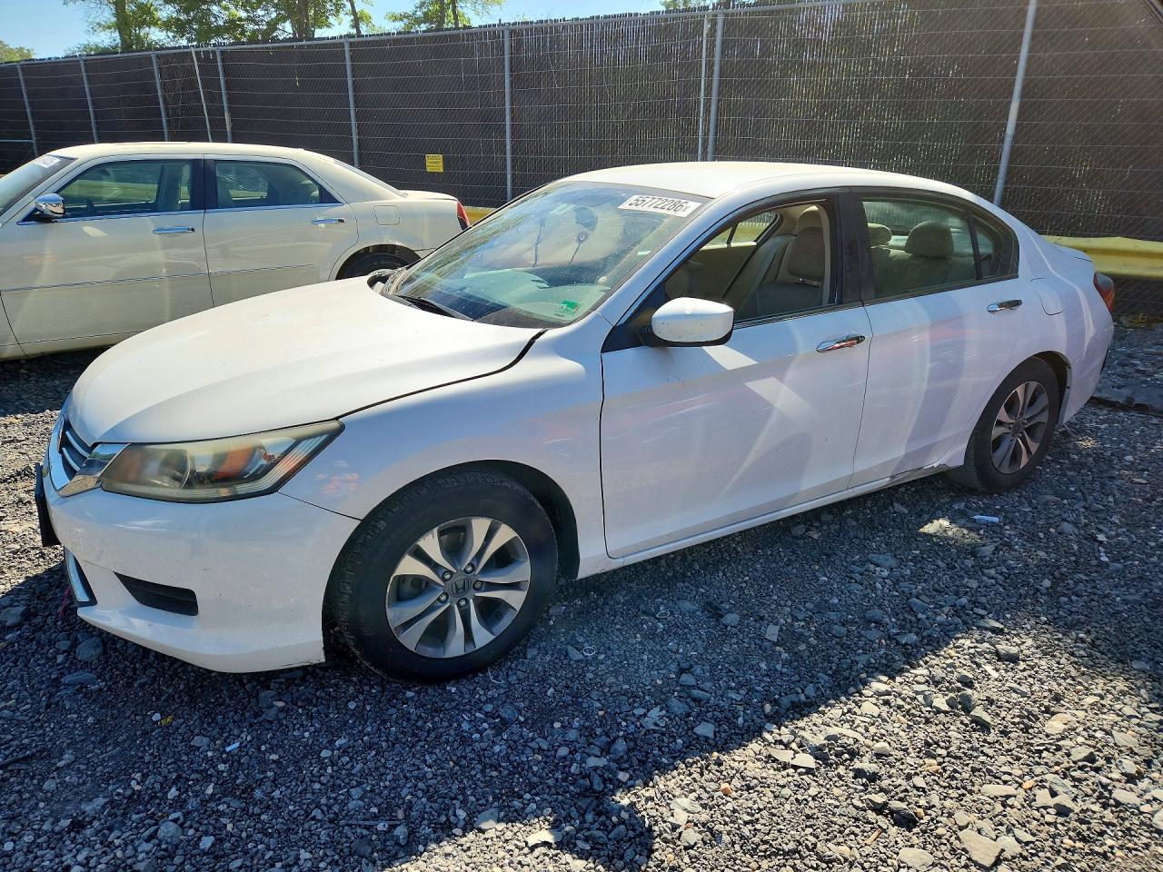 Salvage Honda Accord Image
