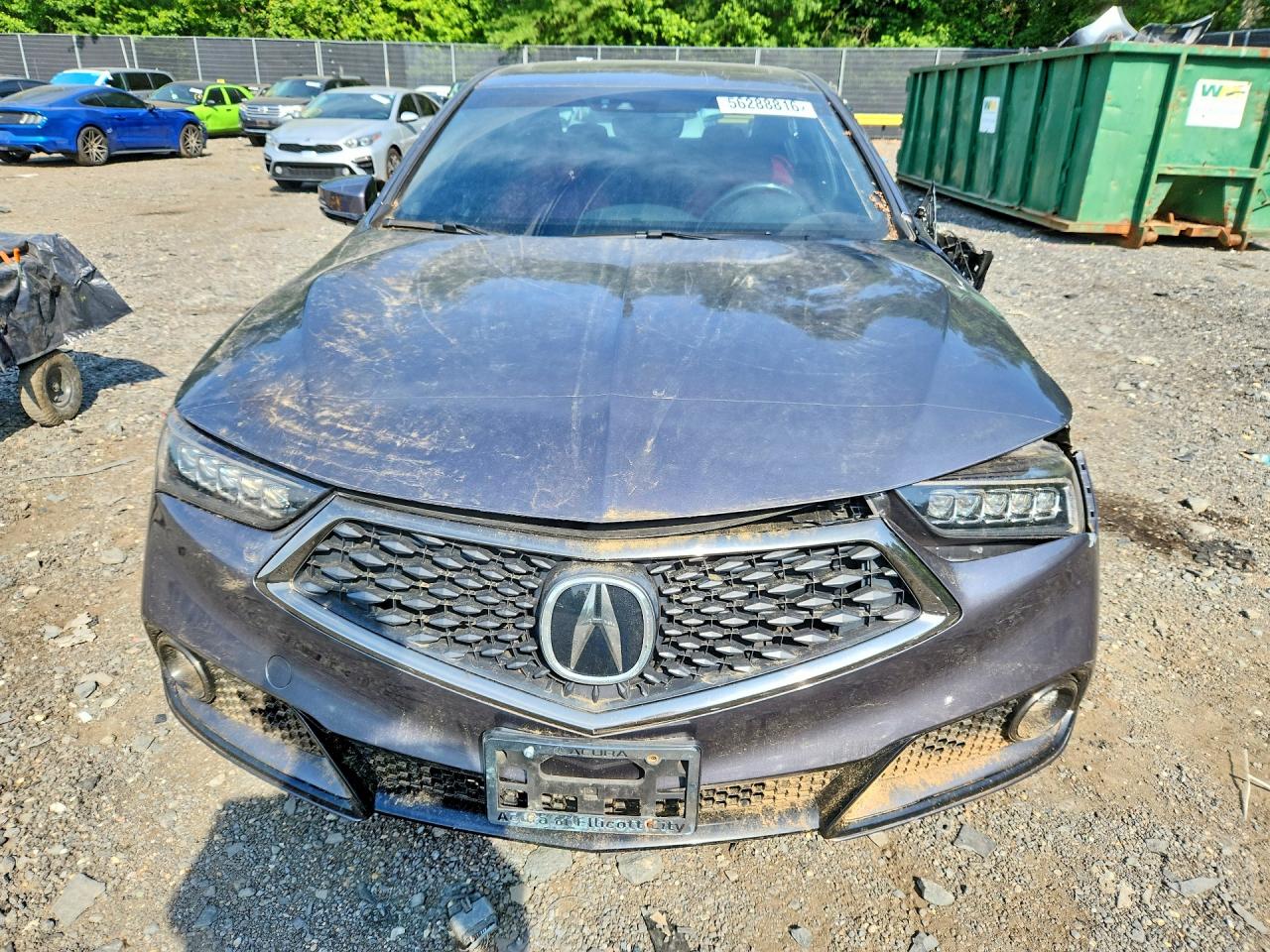 Acura TLX Tech+a
