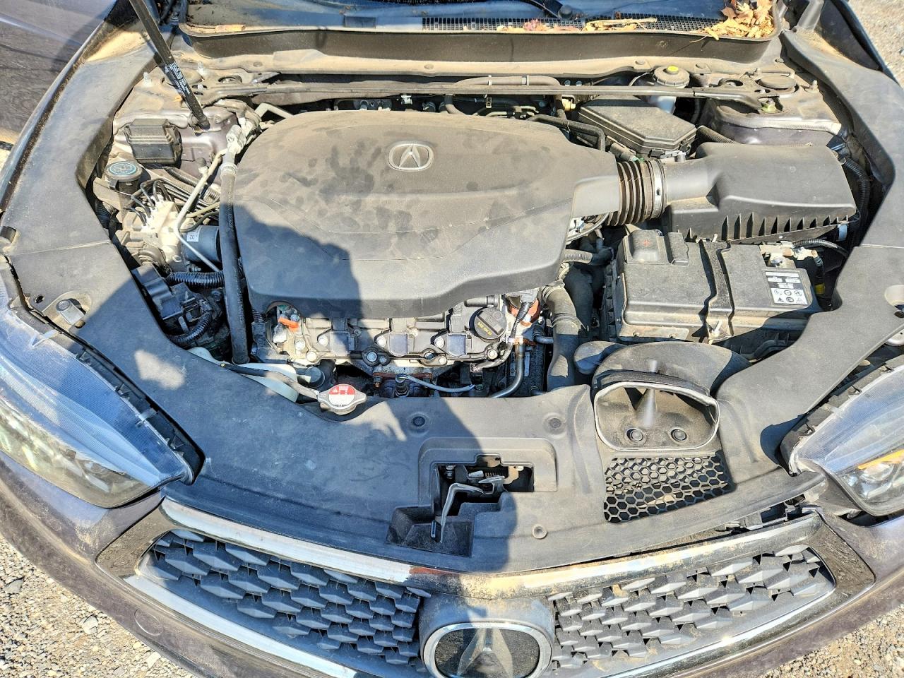 Acura TLX Tech+a