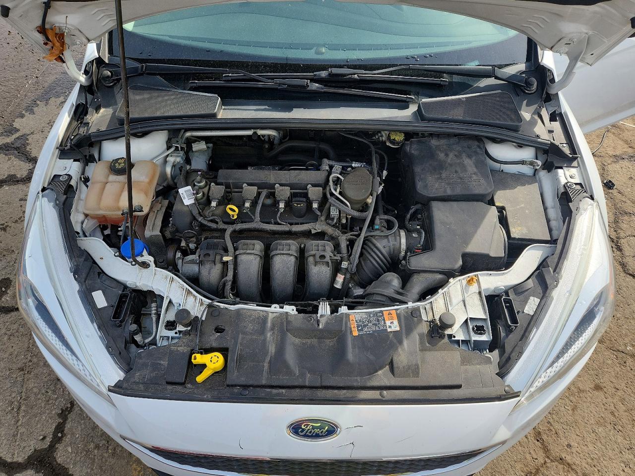 Ford Focus Se