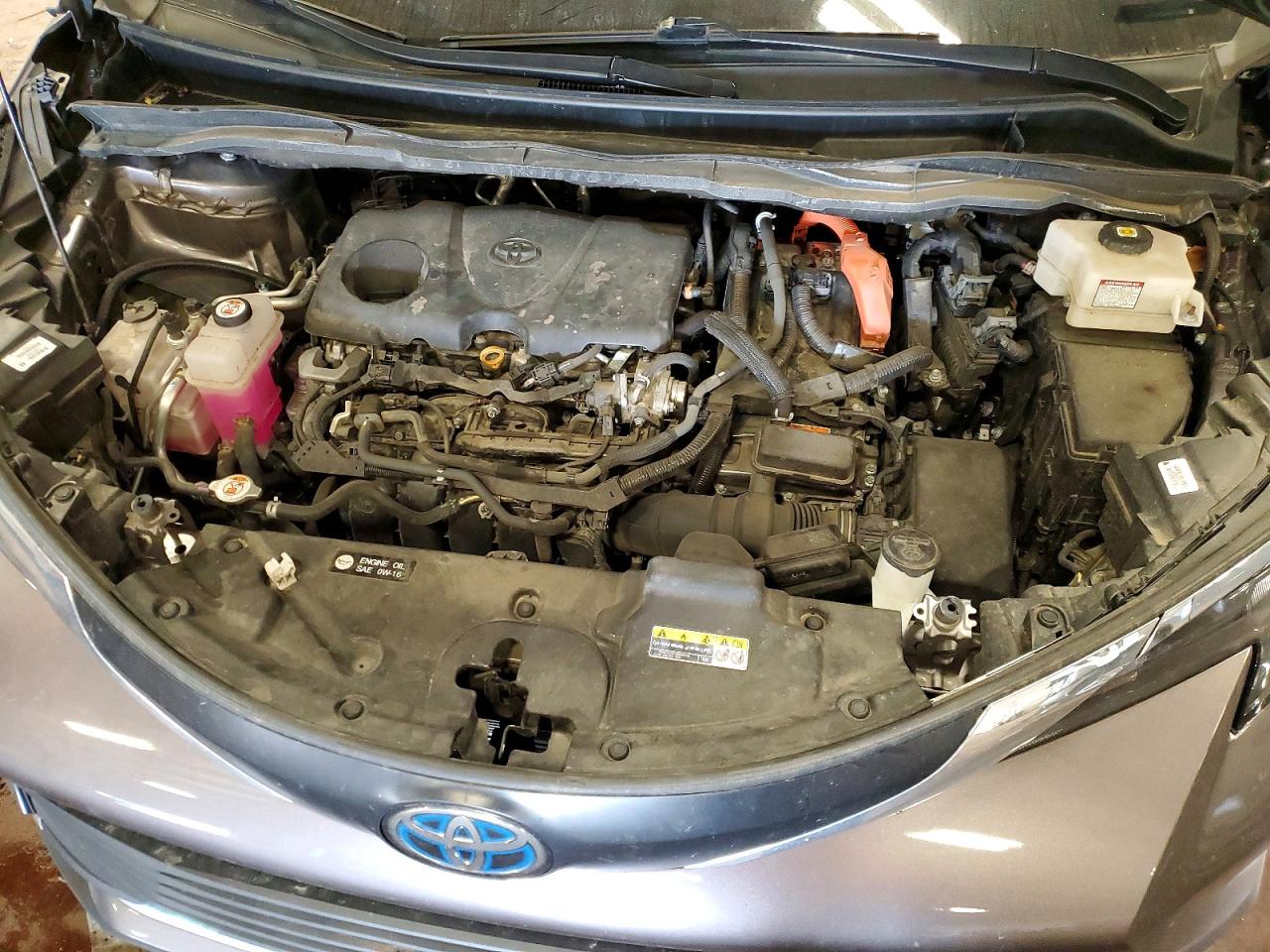 Toyota Sienna Xle 7-passenger