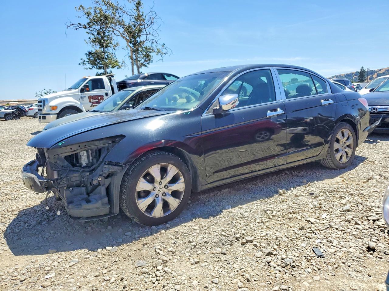 Salvage Honda Accord Image