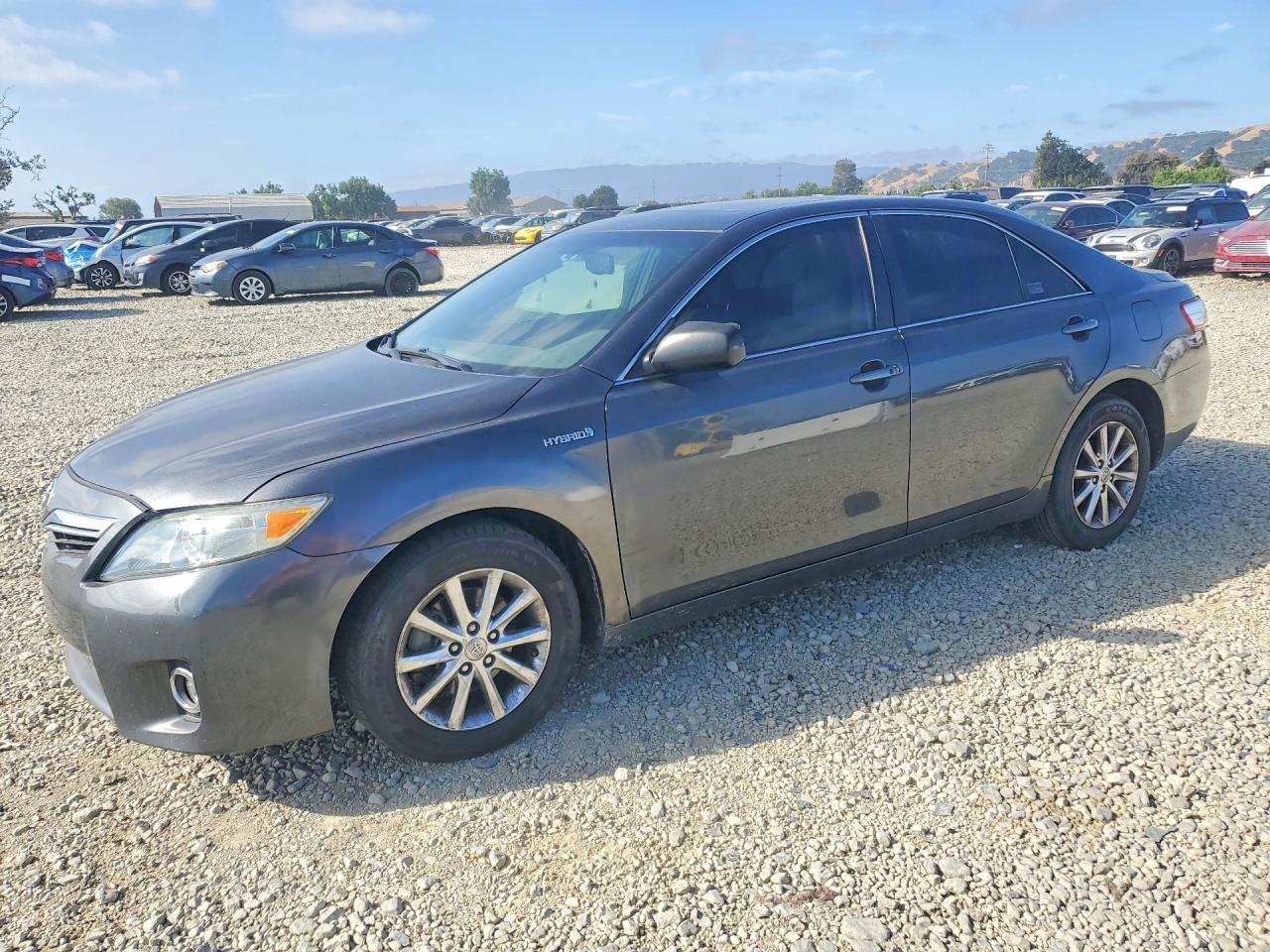 Salvage Toyota Camry Image