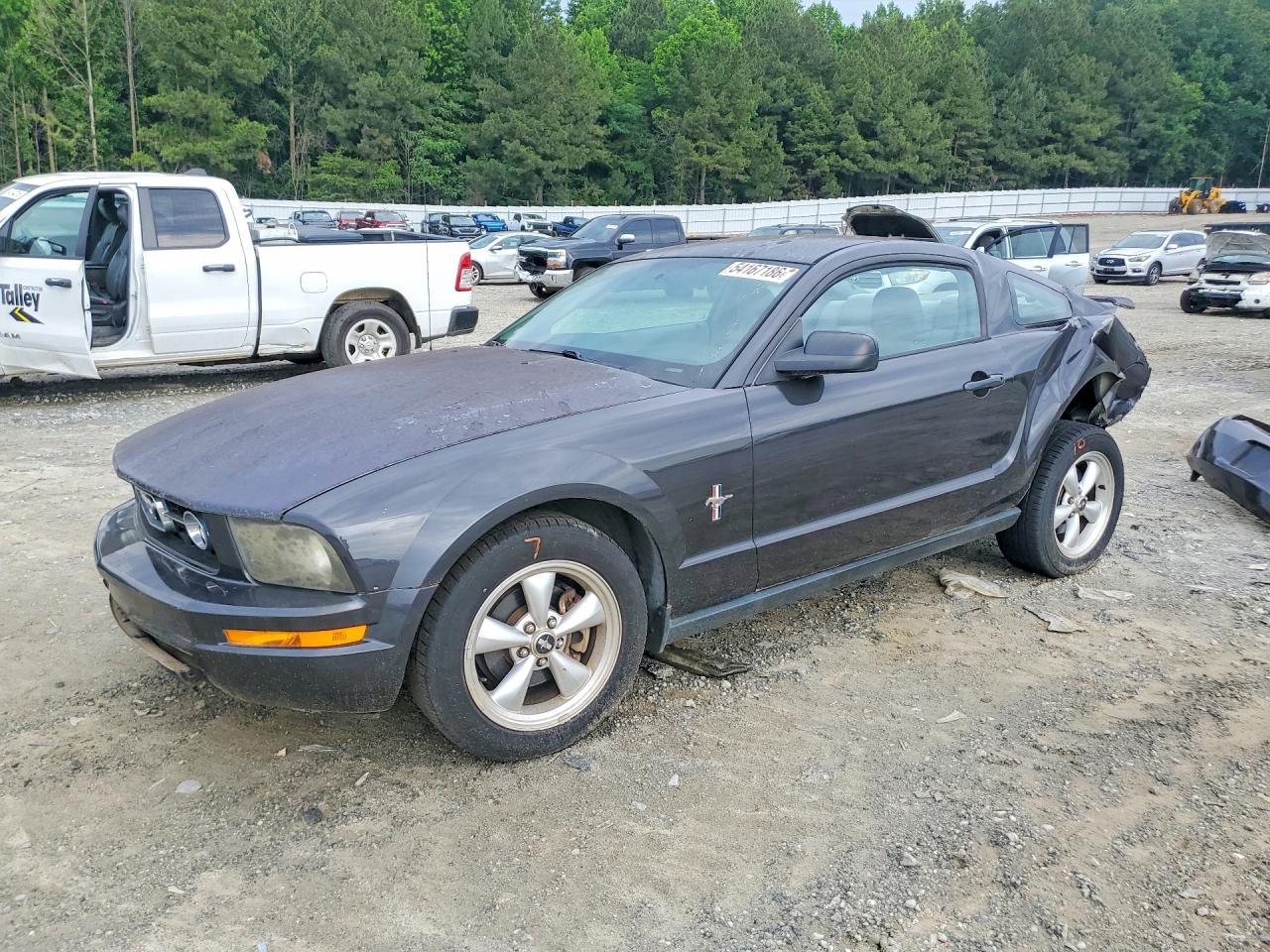 Salvage Ford Mustang Image