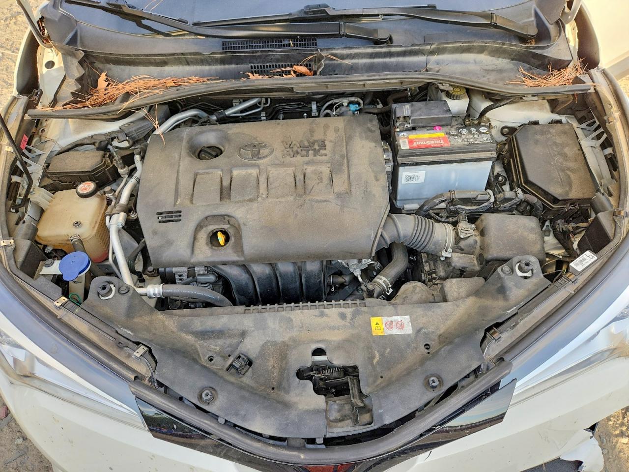 Toyota C-HR Xle