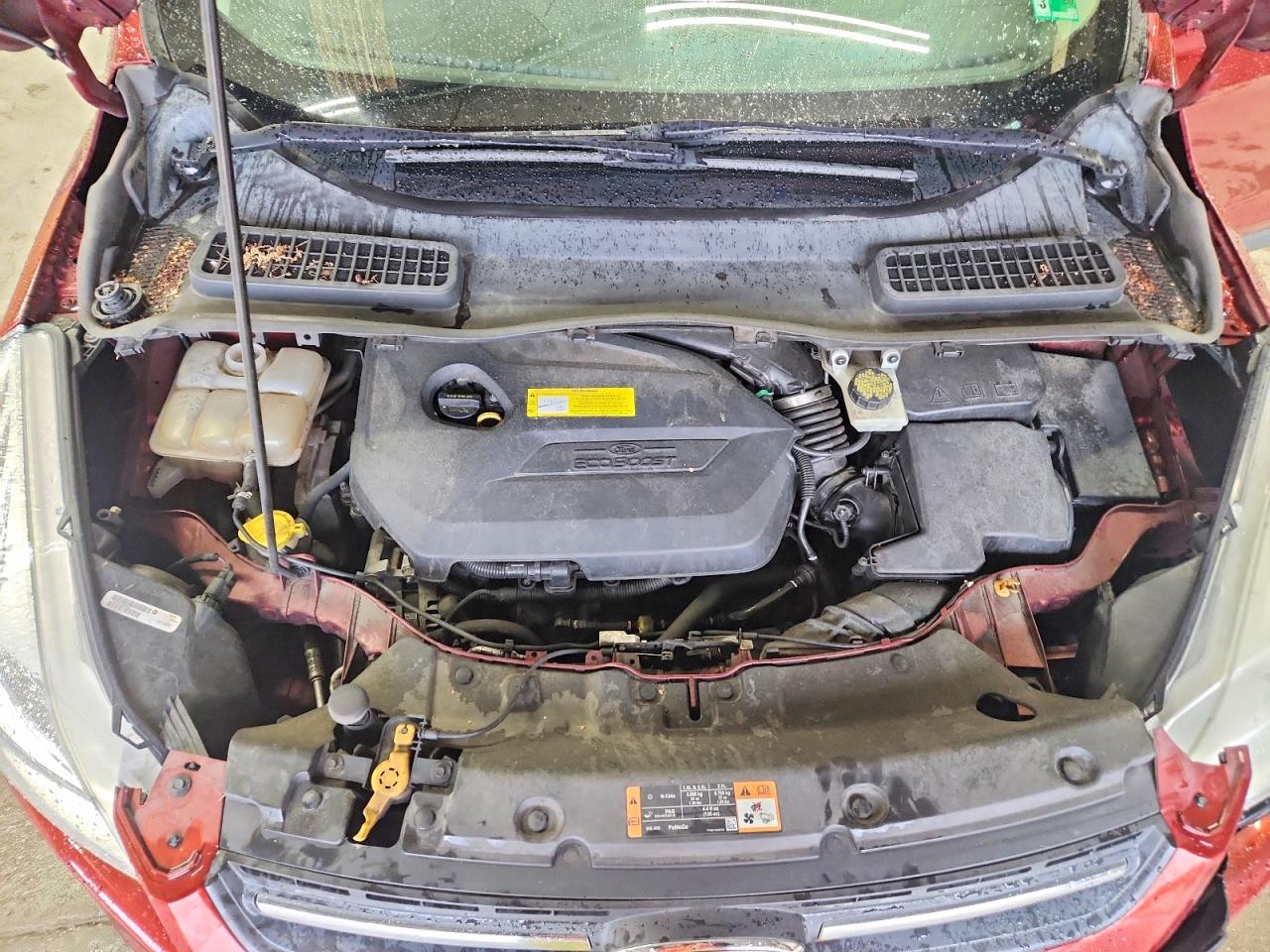 Ford Escape Se