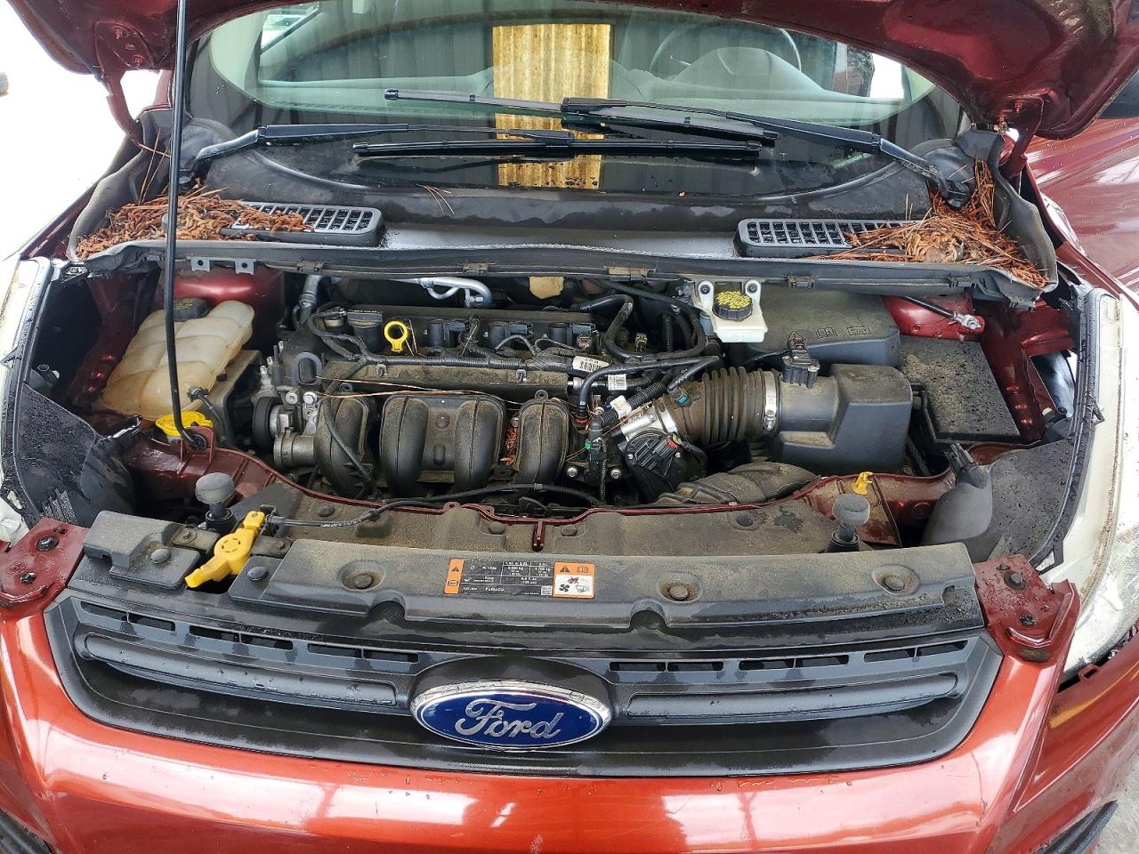 Ford Escape S