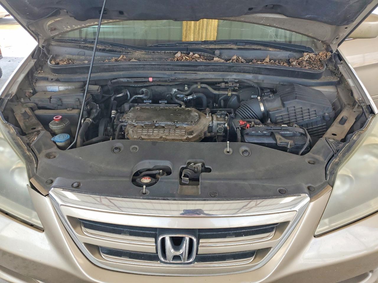 Honda Odyssey Exl