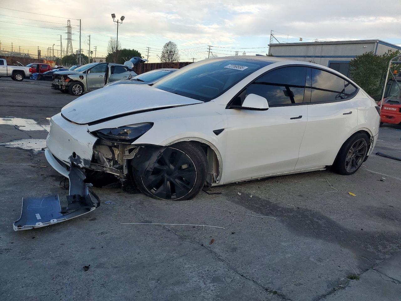Salvage Tesla Model Y Image