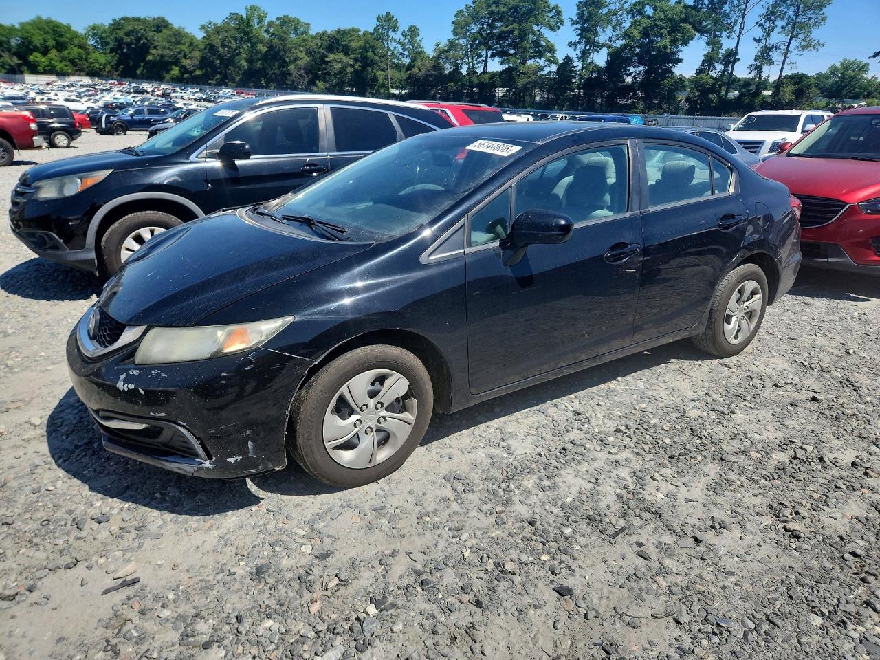 Salvage Honda Civic Image
