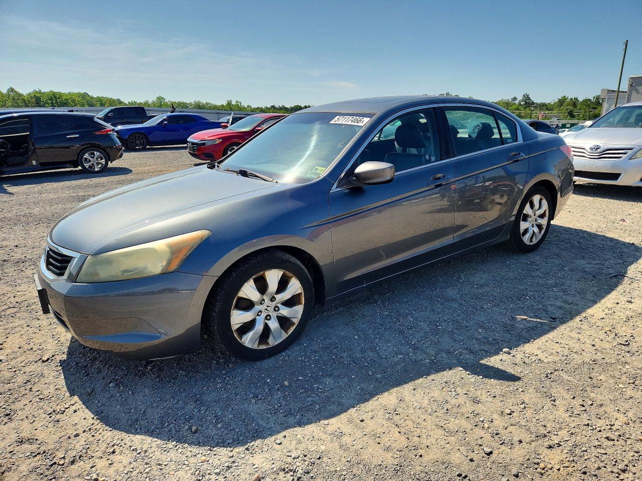 Salvage Honda Accord Image