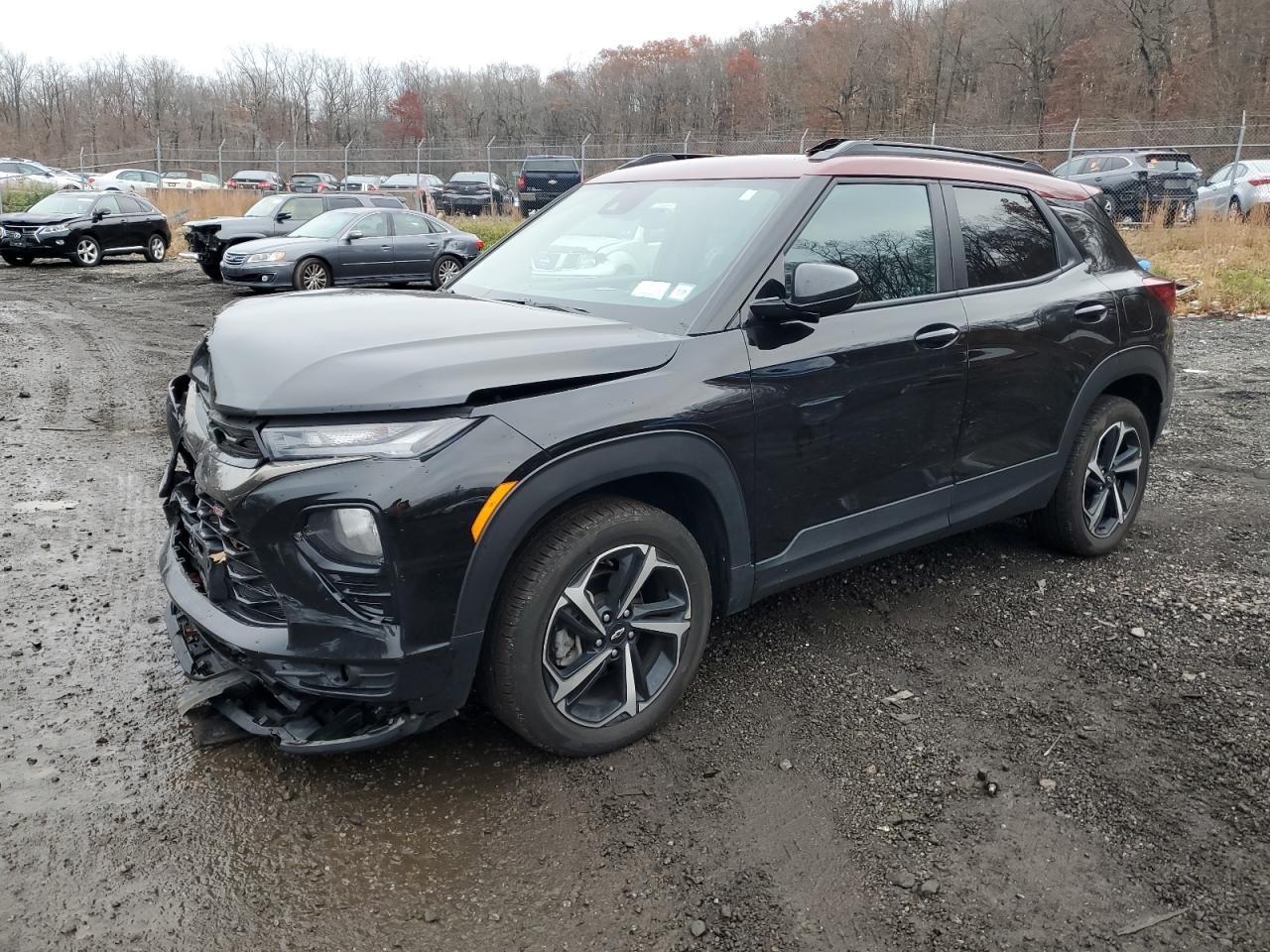 Salvage Chevrolet Trailblazer Image