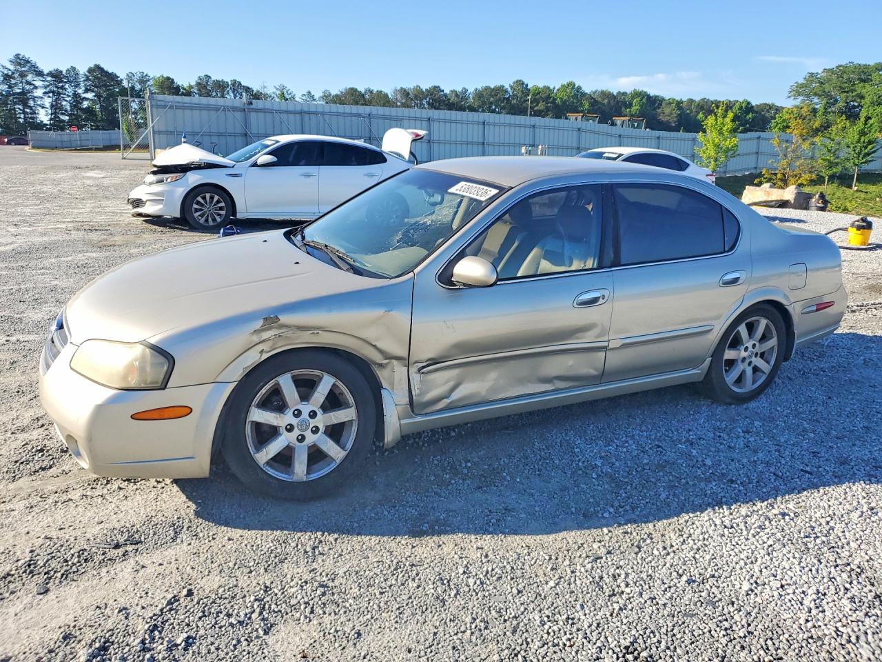 Salvage Nissan Maxima Image
