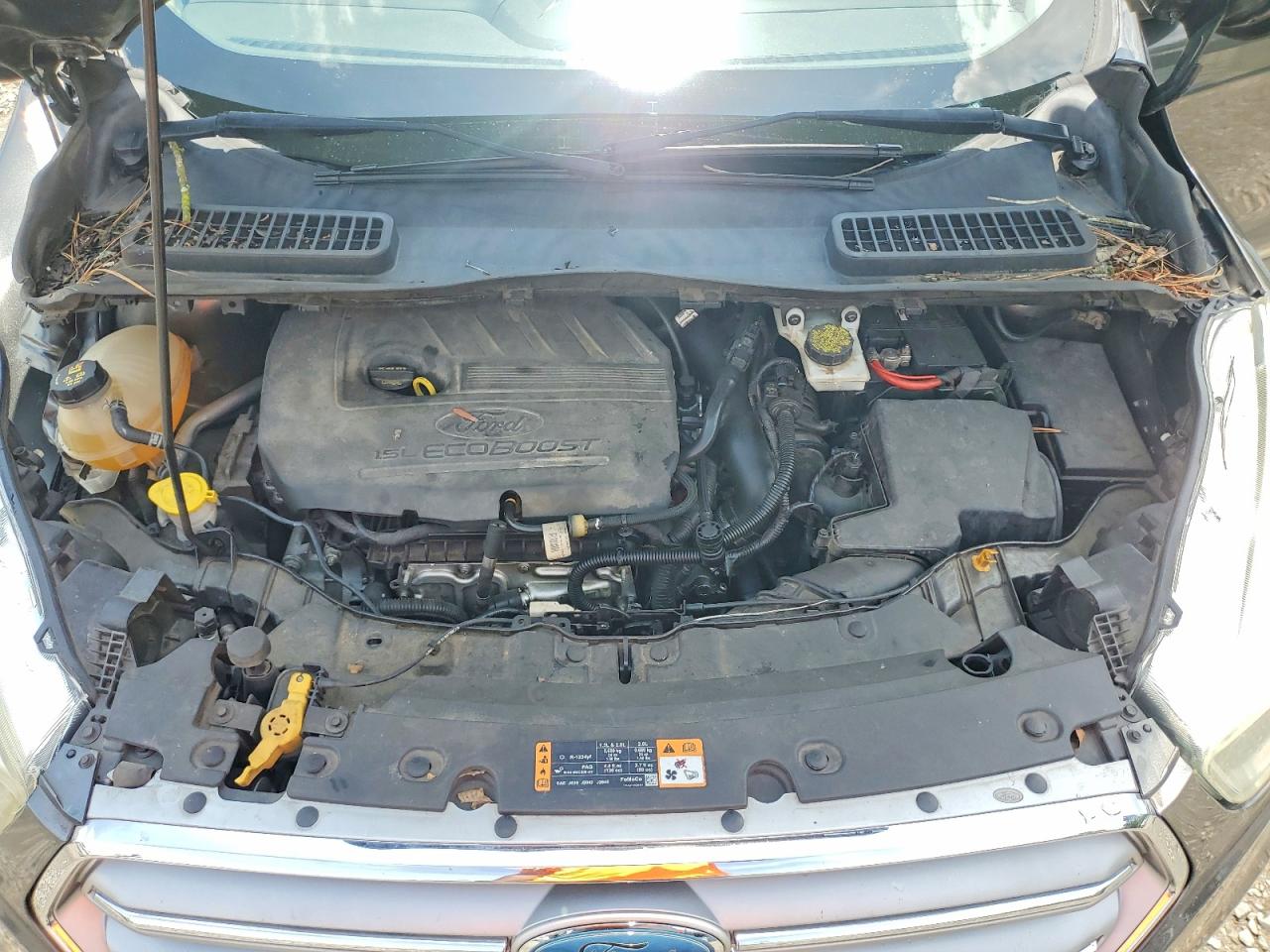 Ford Escape Se