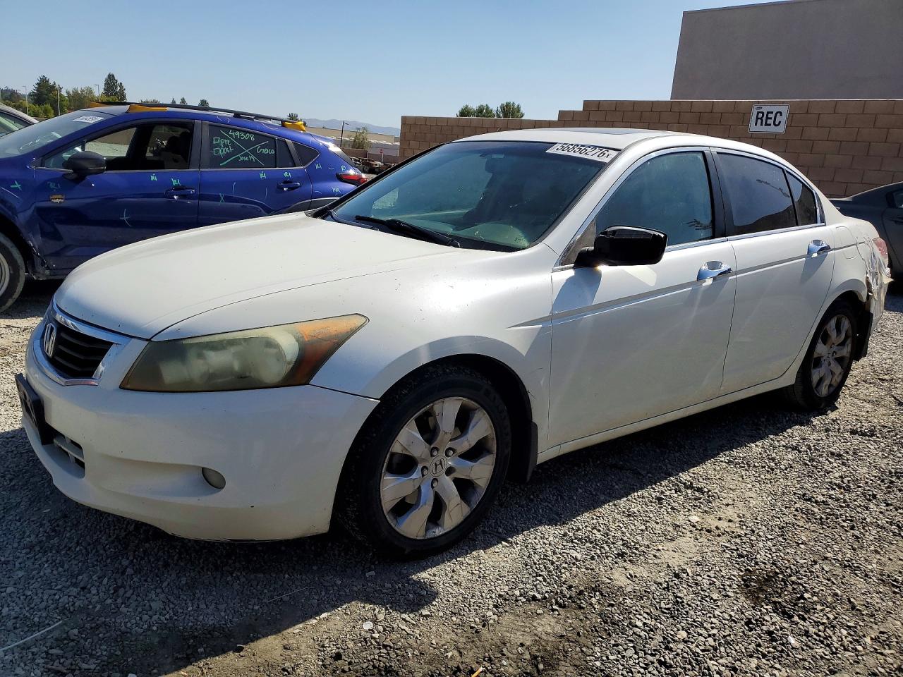 Salvage Honda Accord Image