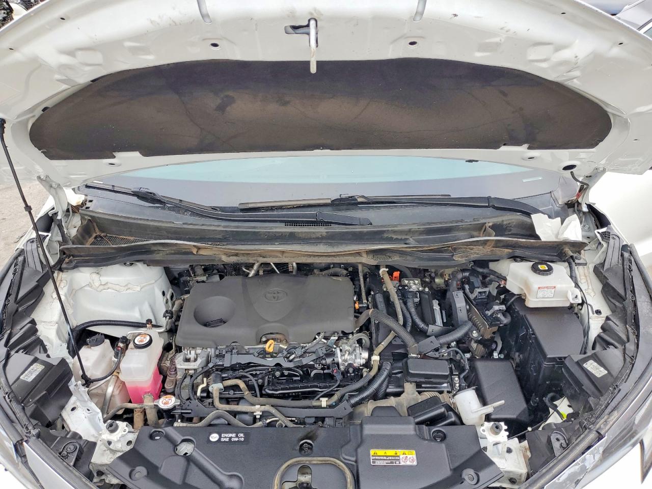 Toyota Sienna Xse 7-passenger