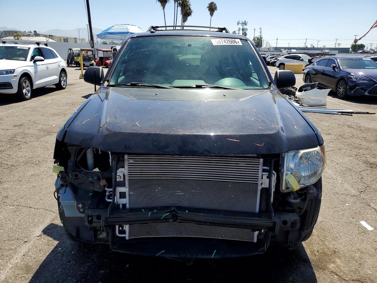 Ford Escape Xlt