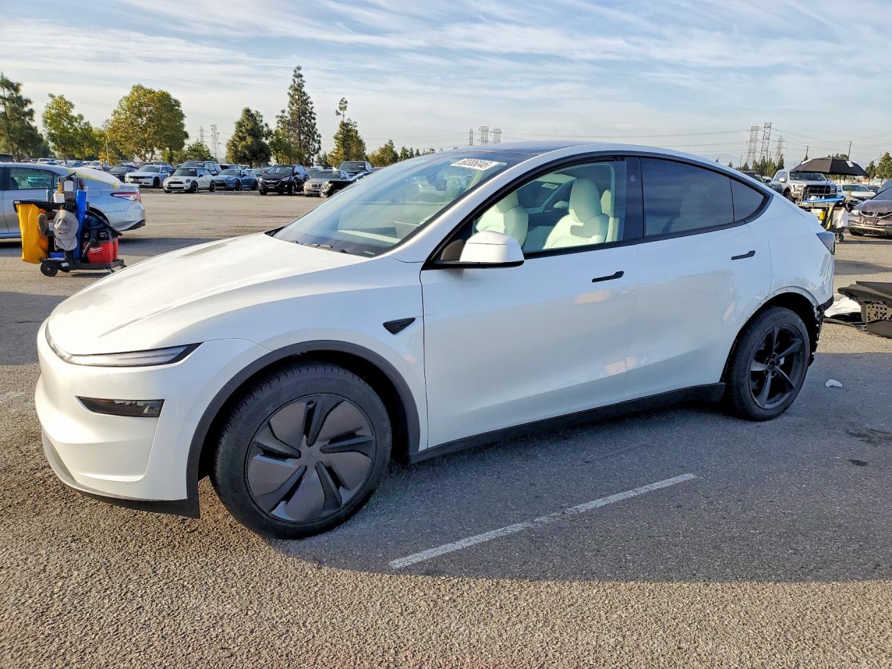 Salvage Tesla Model Y Image