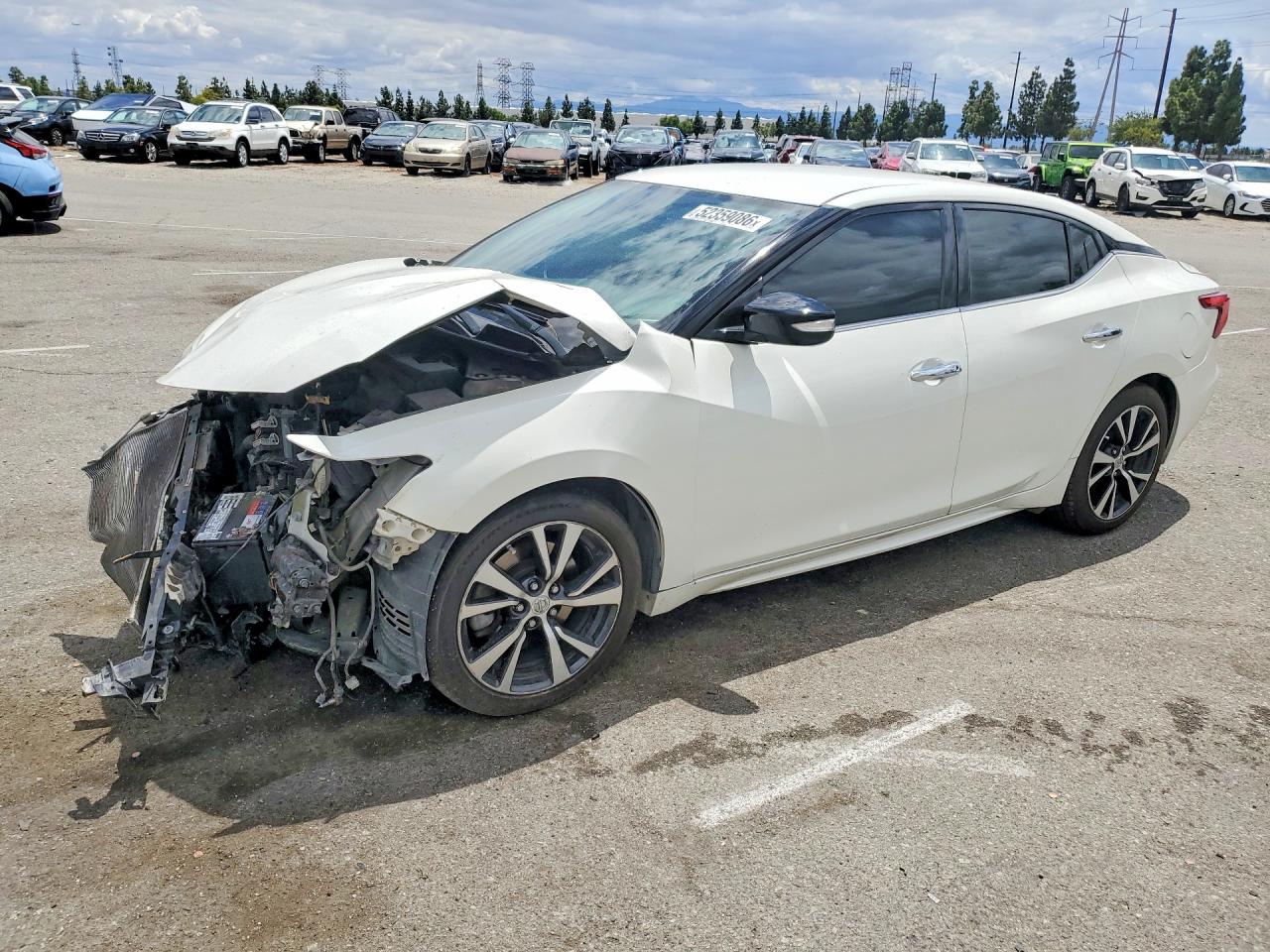 Salvage Nissan Maxima Image