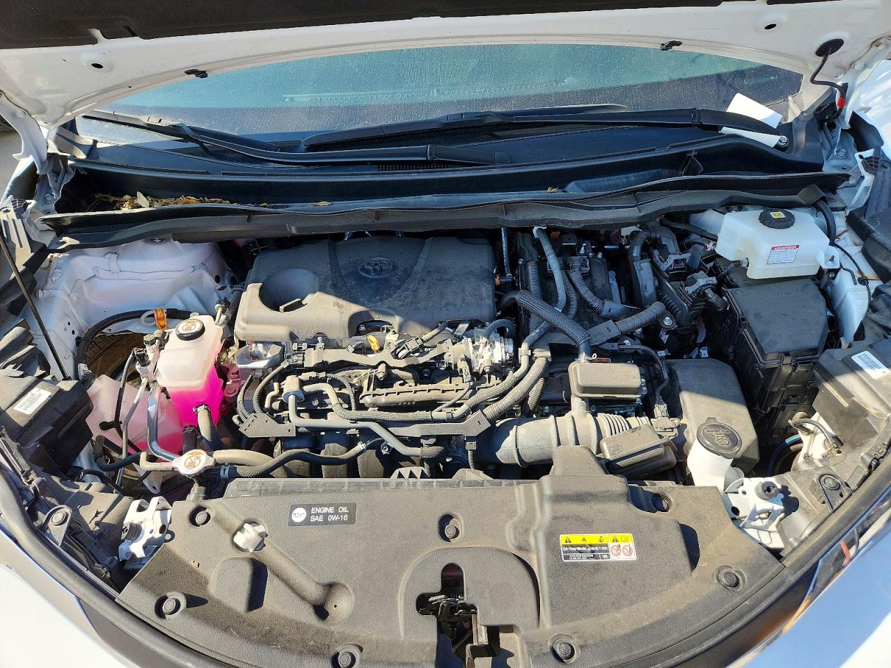 Toyota Sienna Le