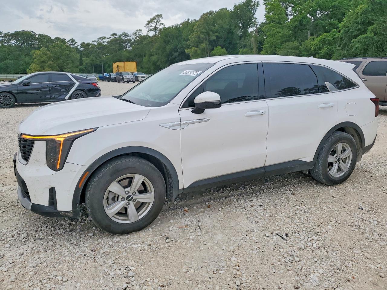 Salvage Kia Sorento Image