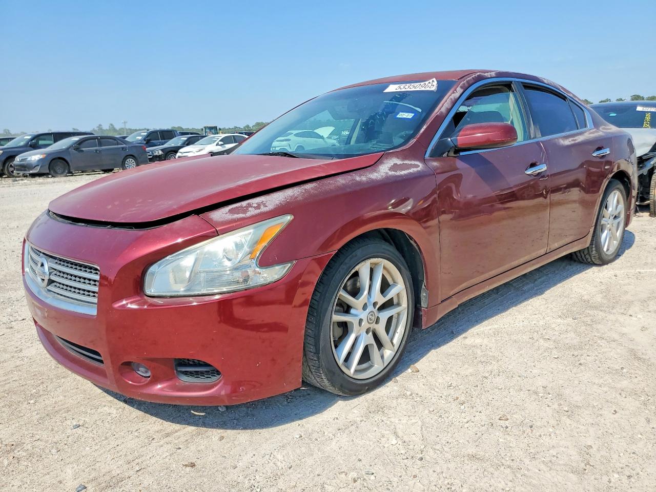 Salvage Nissan Maxima Image
